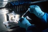 Investigators reported a 2022 confession after DNA linked the 1986 Cathy Small case to Suff (Image via Unsplash)